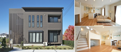 Designer house DUE